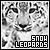  Snow Leopards: 